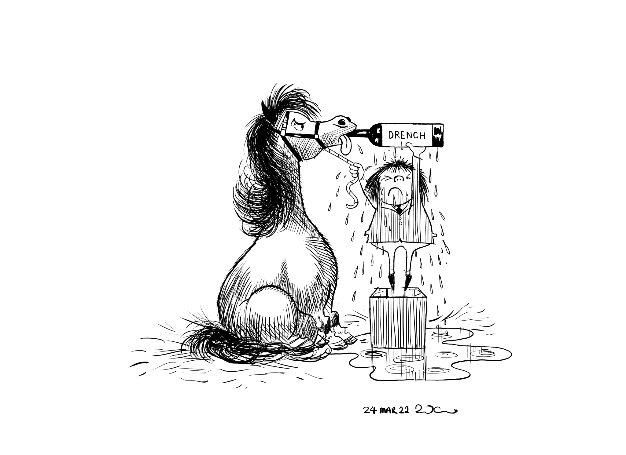 Norman Thelwell horse drink